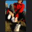 fremde socken teil zwei, DSC_2574.jpg