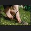immer wieder sonntags, DSC_0345.jpg