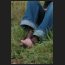 lost and found, jutta_20.jpg