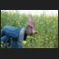 lost and found, jutta_24.jpg