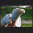 natursocken, DSC_8113.jpg