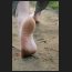 natursocken, DSC_8180.jpg