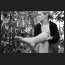 the celebrity project, DSC_4458.jpg