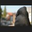 warme stunden, DSC_8263.jpg